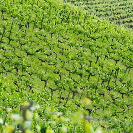 Domaine De La Soucherie - Chambres D'Hotes ボーリュ・シュル・レイヨン エクステリア 写真