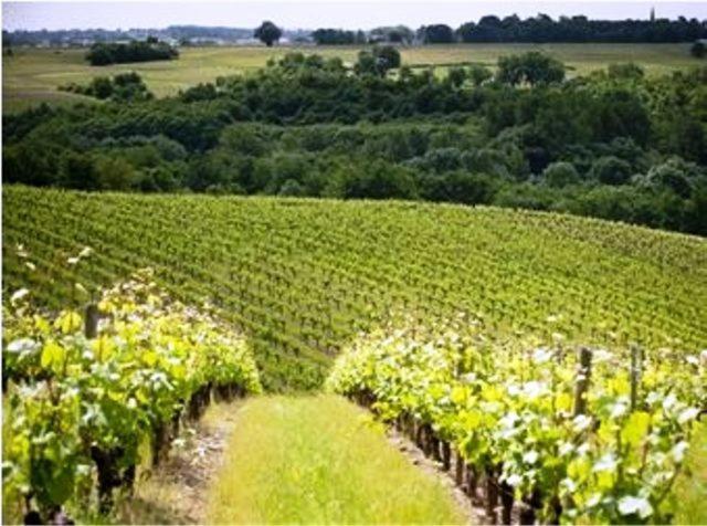 Domaine De La Soucherie - Chambres D'Hotes ボーリュ・シュル・レイヨン エクステリア 写真