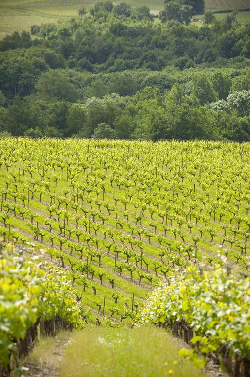 Domaine De La Soucherie - Chambres D'Hotes ボーリュ・シュル・レイヨン エクステリア 写真