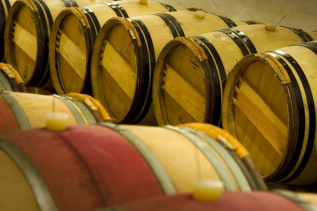 Domaine De La Soucherie - Chambres D'Hotes ボーリュ・シュル・レイヨン エクステリア 写真