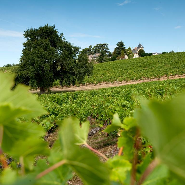 Domaine De La Soucherie - Chambres D'Hotes ボーリュ・シュル・レイヨン エクステリア 写真