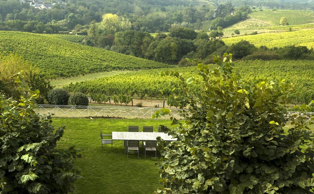 Domaine De La Soucherie - Chambres D'Hotes ボーリュ・シュル・レイヨン エクステリア 写真