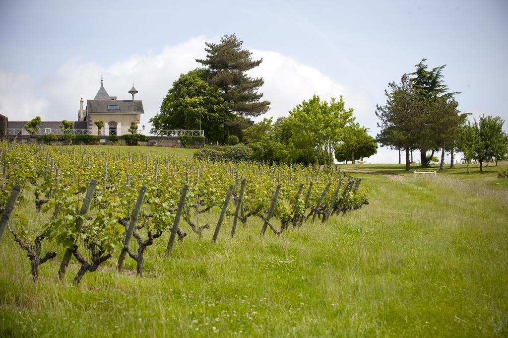 Domaine De La Soucherie - Chambres D'Hotes ボーリュ・シュル・レイヨン エクステリア 写真